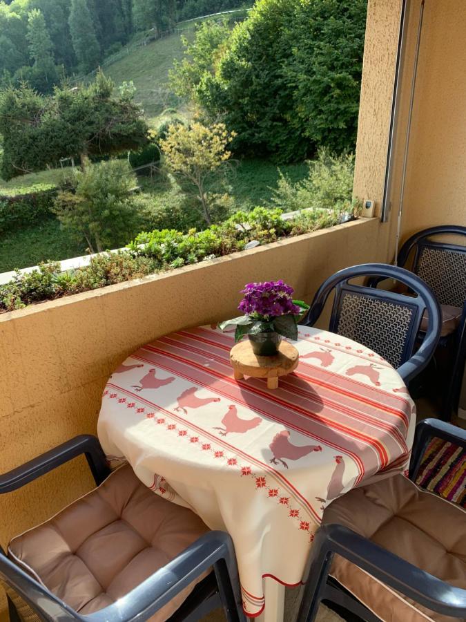 Appartement vue montagne avec wifi Saint-Lary-Soulan Extérieur photo